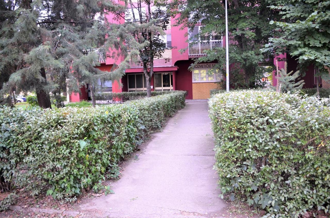 诺威萨Balzak 64M2, Free Parking & Wi-Fi公寓 外观 照片